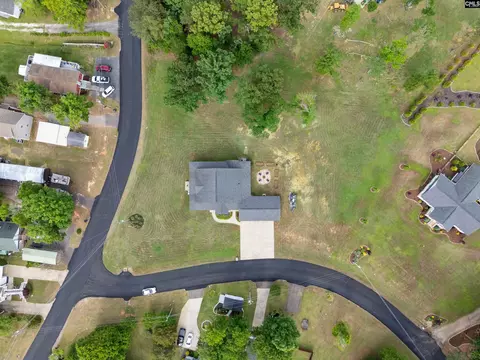 View/Area - 119 Saluda Waters Rd, Leesville, SC 29070 photo 9 of 9