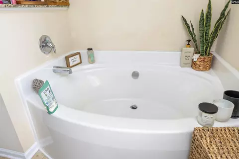 Bath - 1773 Nicholas Dr, Sumter, SC 29154 photo 3 of 6