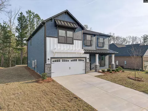 20 Elk Run Ct, Chapin, SC 29036