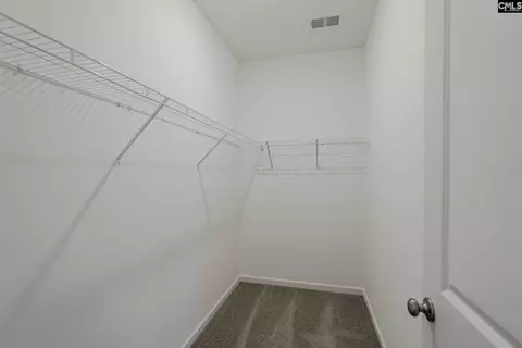 Other - 402 Viceroy Path, Gilbert, SC 29054 photo 8 of 11