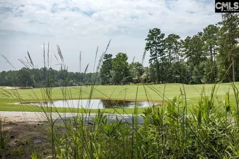 View/Area - 305 Redbay Rd, Elgin, SC 29045 photo 1 of 1