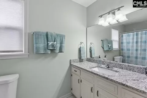 Bath - 208 Puller Ct, Lexington, SC 29072 photo 3 of 3