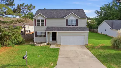 305 Cutter Ct, Chapin, SC 29036
