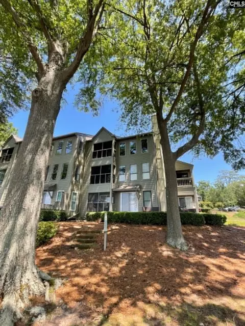 1441 Old Chapin Rd #231, Lexington, SC 29072