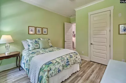 1664 Wonder Dr, Chapin, SC 29036 photo 52