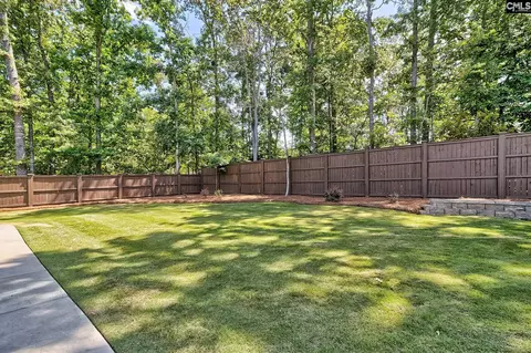 1664 Wonder Dr, Chapin, SC 29036 photo 11