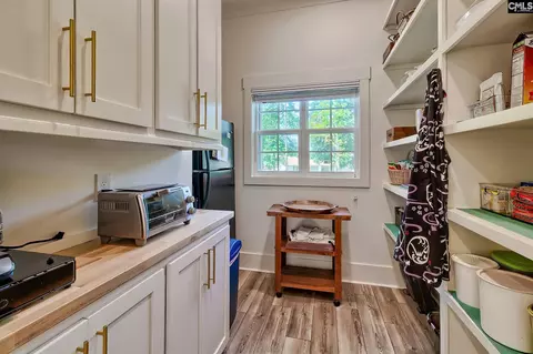 1664 Wonder Dr, Chapin, SC 29036 photo 30