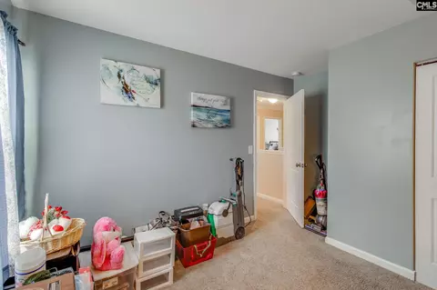 249 Drooping Leaf Rd, Lexington, SC 29072 photo 29