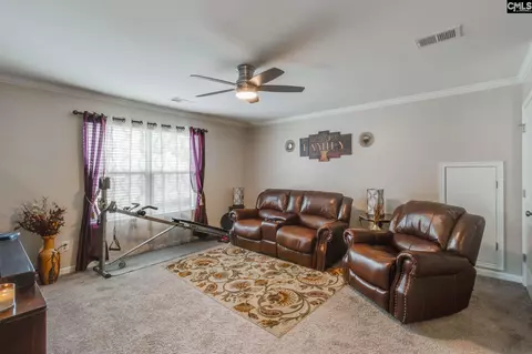 249 Drooping Leaf Rd, Lexington, SC 29072 photo 23