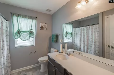 249 Drooping Leaf Rd, Lexington, SC 29072 photo 30