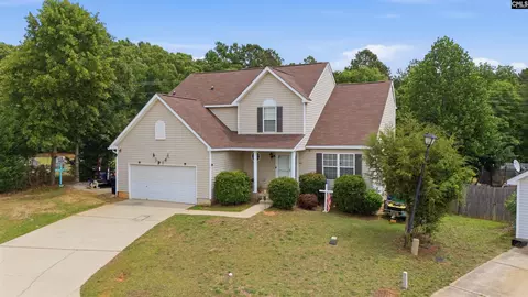 316 Turkey Beard Ct, Chapin, SC 29036
