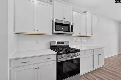 Other - 246 Foxglade Dr, Gilbert, SC 29054 photo 4 of 8