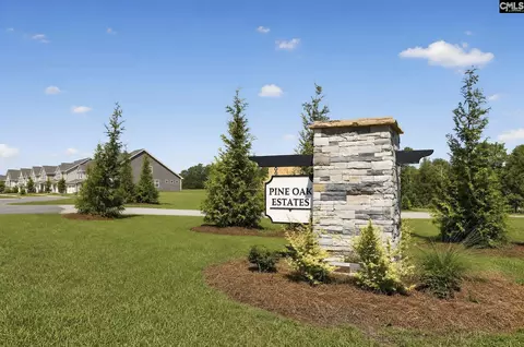 242 Foxglade Dr, Gilbert, SC 29054 photo 2