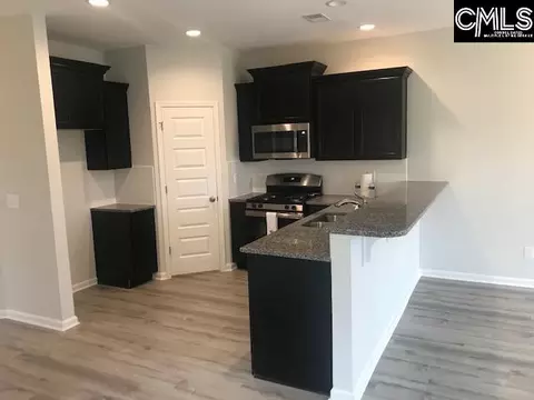 1106 Bergenfield Ln, Chapin, SC 29036