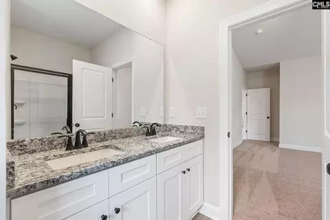 2121 Duck Lettuce Ct, Gilbert, SC 29054 photo 10