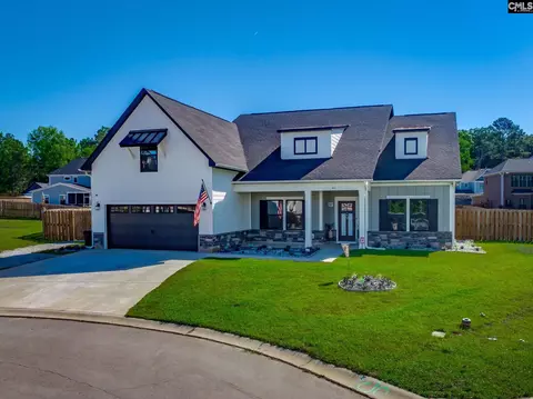 41 Elk Run Ct, Chapin, SC 29036