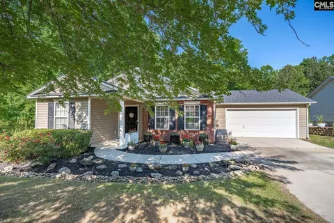 559 Foxstone Dr, Chapin, SC 29036