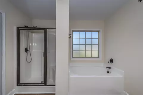 Bath - 199 Rossmore Dr, Cayce, SC 29033 photo 3 of 4