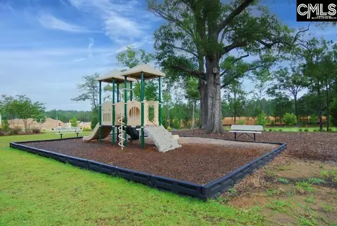 577 Eagles Rest Dr, Chapin, SC 29036 photo 33