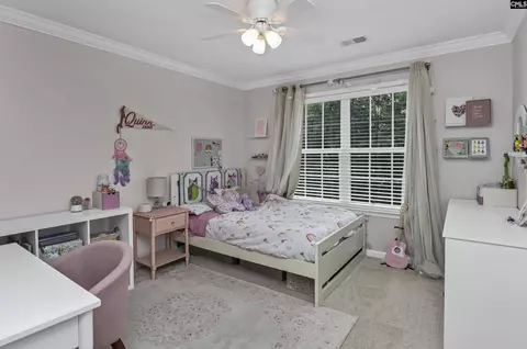 577 Eagles Rest Dr, Chapin, SC 29036 photo 23
