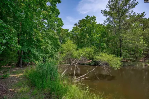 841 Foxden Rd, Gilbert, SC 29054 photo 44