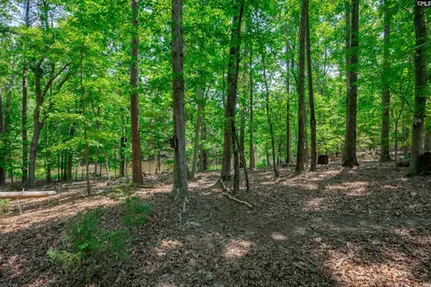 841 Foxden Rd, Gilbert, SC 29054 photo 41