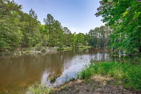 841 Foxden Rd, Gilbert, SC 29054 photo 42