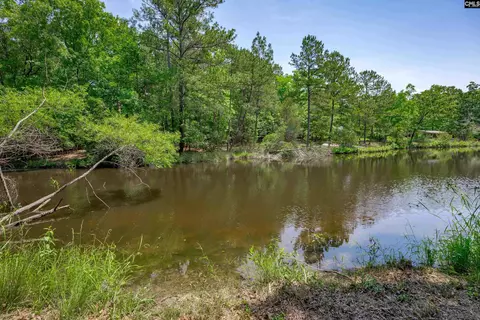 841 Foxden Rd, Gilbert, SC 29054 photo 43