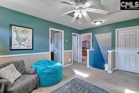 209 Eagle Pointe Dr, Chapin, SC 29036 photo 22