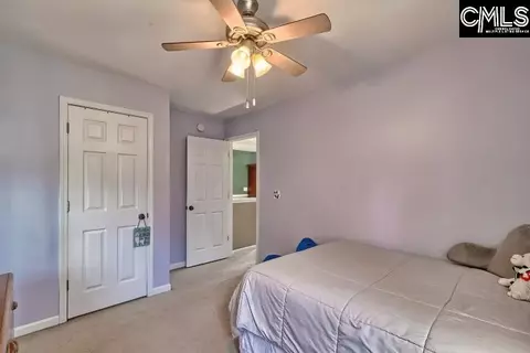 209 Eagle Pointe Dr, Chapin, SC 29036 photo 27