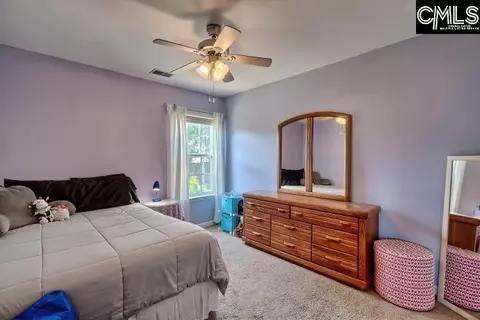 209 Eagle Pointe Dr, Chapin, SC 29036 photo 26