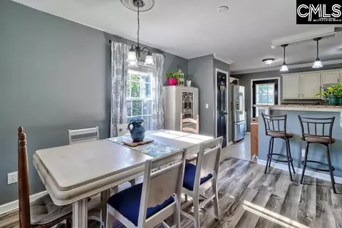 209 Eagle Pointe Dr, Chapin, SC 29036 photo 9