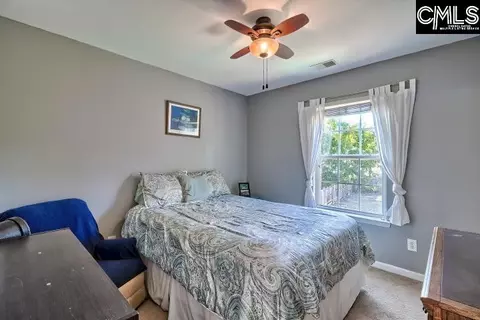 209 Eagle Pointe Dr, Chapin, SC 29036 photo 23