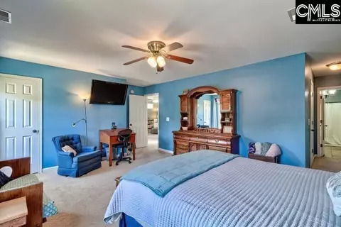 209 Eagle Pointe Dr, Chapin, SC 29036 photo 32