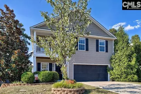 209 Eagle Pointe Dr, Chapin, SC 29036 photo 2