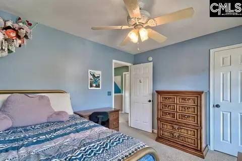 209 Eagle Pointe Dr, Chapin, SC 29036 photo 29