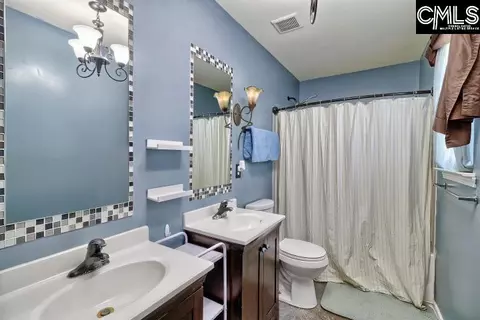 209 Eagle Pointe Dr, Chapin, SC 29036 photo 33