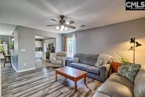 209 Eagle Pointe Dr, Chapin, SC 29036 photo 17