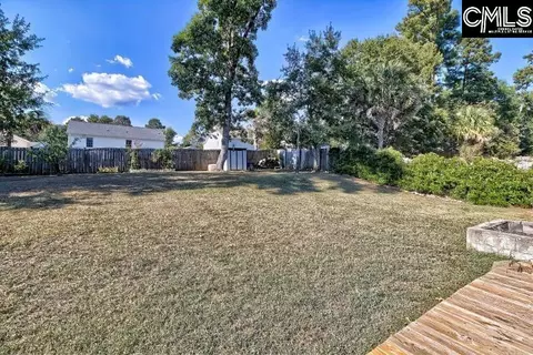 209 Eagle Pointe Dr, Chapin, SC 29036 photo 40