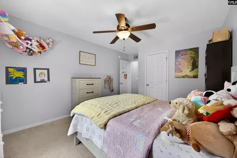 371 Eagle Pointe Dr, Chapin, SC 29036 photo 26