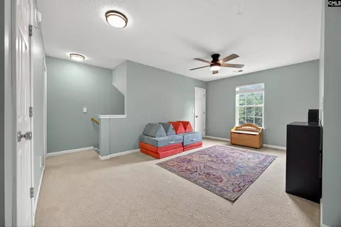 371 Eagle Pointe Dr, Chapin, SC 29036 photo 16