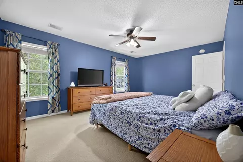 371 Eagle Pointe Dr, Chapin, SC 29036 photo 21