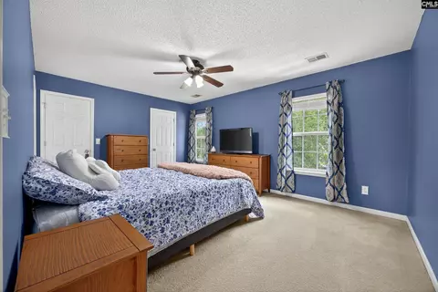 371 Eagle Pointe Dr, Chapin, SC 29036 photo 18