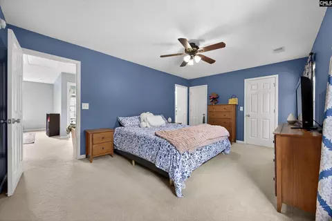 371 Eagle Pointe Dr, Chapin, SC 29036 photo 19