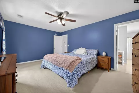 371 Eagle Pointe Dr, Chapin, SC 29036 photo 20