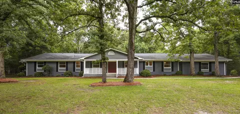 412 Murray Lindler Rd, Chapin, SC 29036