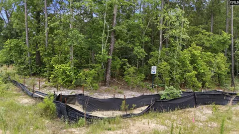 Other - 1676 Hidden Garden Ln, Gilbert, SC 29054 photo 9 of 9