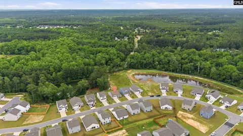 View/Area - 1676 Hidden Garden Ln, Gilbert, SC 29054 photo 2 of 9