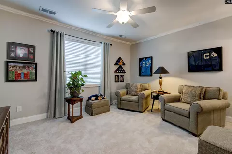Other - 134 Backspin Dr, Elgin, SC 29045 photo 8 of 10