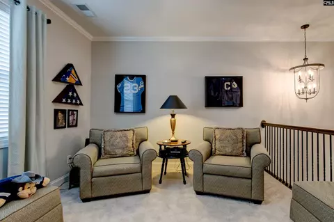 Other - 134 Backspin Dr, Elgin, SC 29045 photo 9 of 10